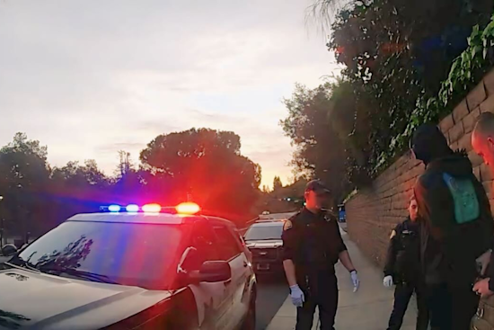 Suspect Arrested for Robbery and Assault at Los Gatos Safeway Store