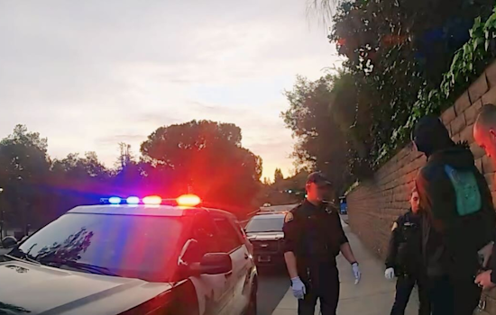 Suspect Arrested for Robbery and Assault at Los Gatos Safeway Store