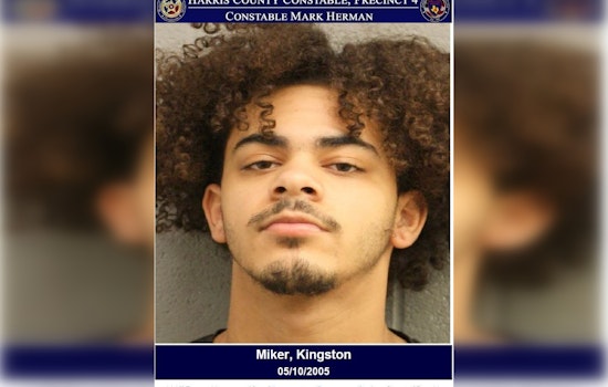 Suspected Harris County Fugitive Apprehended by Deputies, Faces Charges Including Evading Arrest