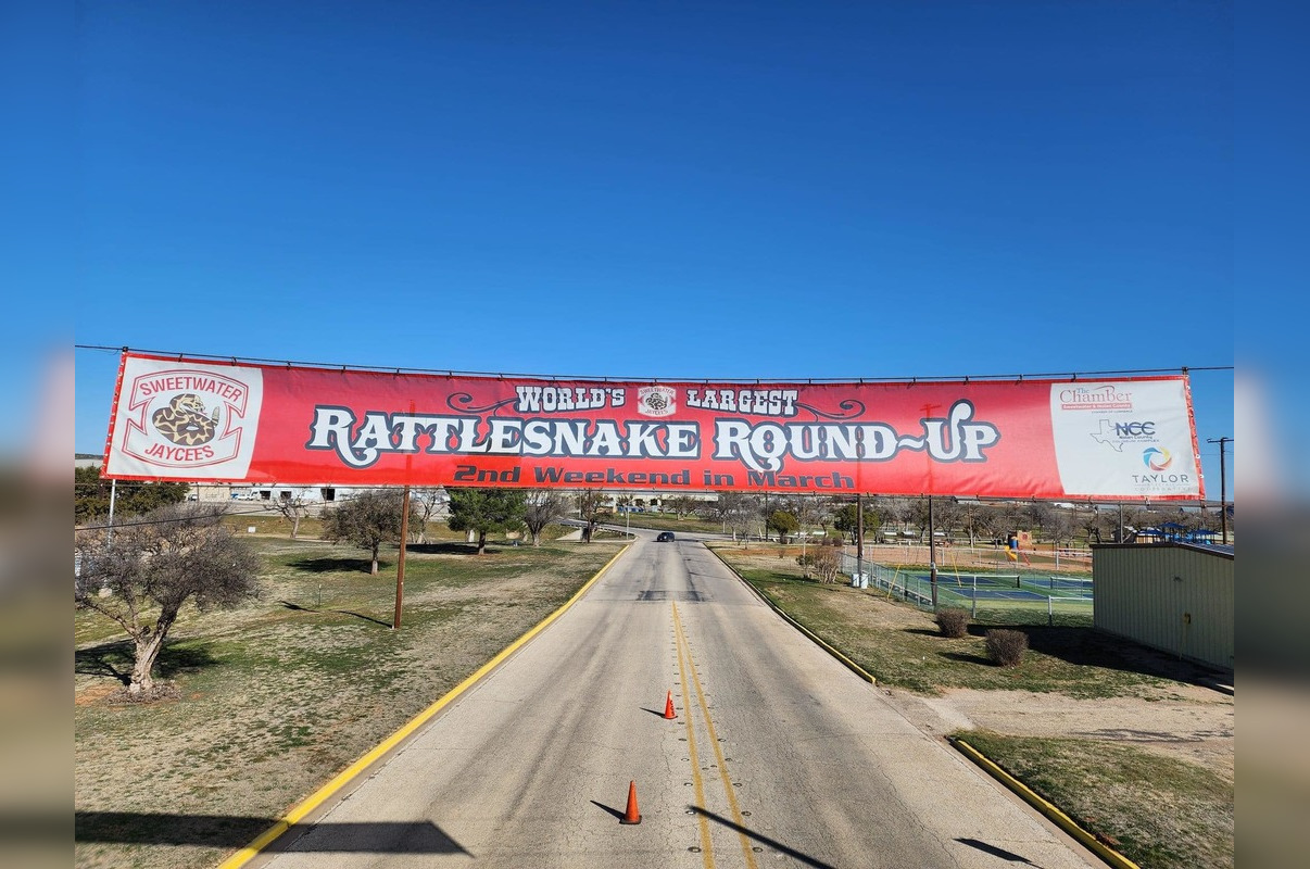 Sweetwater's 66th Rattlesnake Roundup Proceeds Amid Wildlife Advocacy