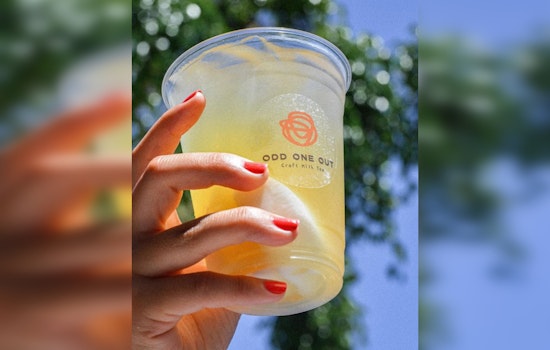 Taiwanese Boba Sensation Odd One Out to Debut New Santa Monica Location with Gelato and Ice Blends
