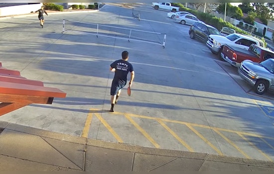 Tempe Firefighters Leap to Safety, Then Aid Driver Who Crashed During Pickleball Game