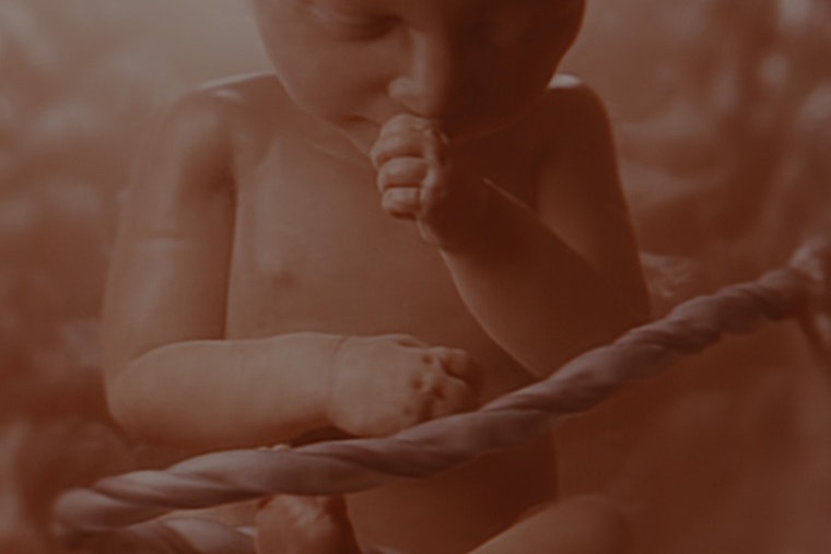 Tennessee Close to Requiring 'Baby Olivia' Fetal Development Video in Schools; Multiple States Follow Lead