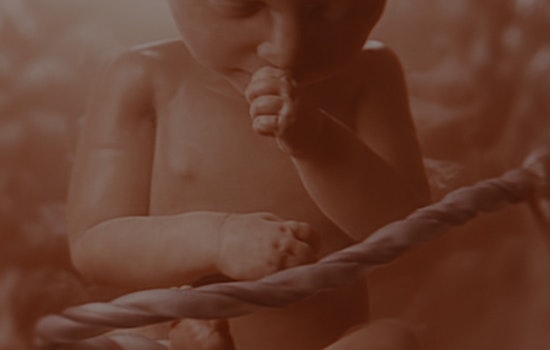 Tennessee Close to Requiring 'Baby Olivia' Fetal Development Video in Schools; Multiple States Follow Lead