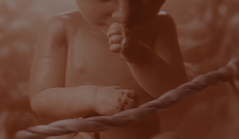 Tennessee Close to Requiring 'Baby Olivia' Fetal Development Video in Schools; Multiple States Follow Lead