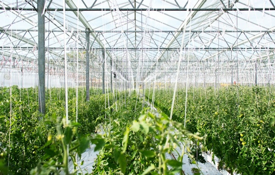 Tennessee Department of Agriculture Sows $1.62 Million in Urban Farm and Forestry Grants to Cultivate City Growth