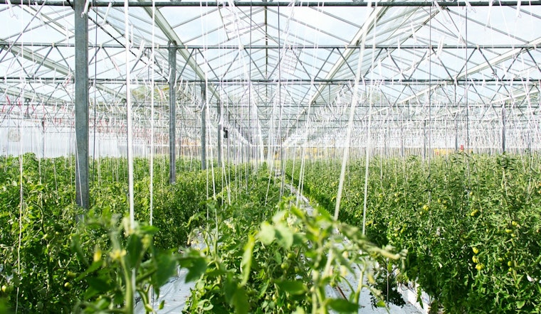 Tennessee Department of Agriculture Sows $1.62 Million in Urban Farm and Forestry Grants to Cultivate City Growth