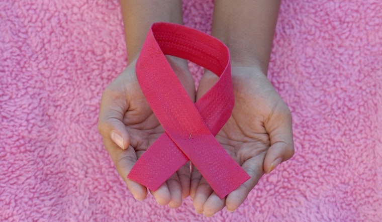 Texas Marks BRAVE Day, Spotlighting Breast Cancer Recovery and Improving Access to Care Statewide