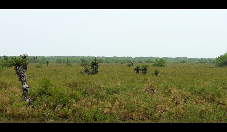 Texas on Track to Unveil New State Park Near Laguna Atascosa With Land Swap Deal