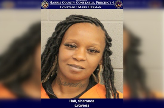Texas Woman Charged with Theft After Attempted Electronics Heist at Walmart