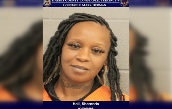 Texas Woman Charged with Theft After Attempted Electronics Heist at Walmart