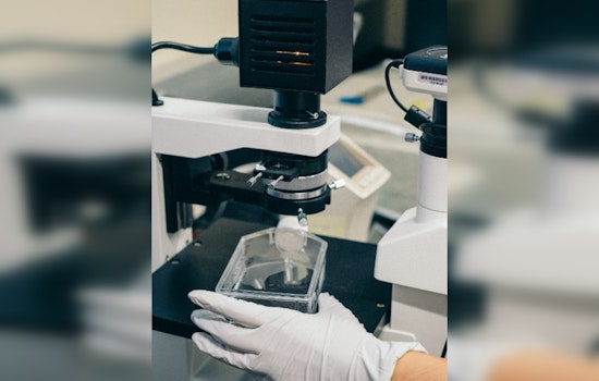 The Woodlands Ushers in Biotech Boom with Cellipont Headquarters and Nurix Expansion