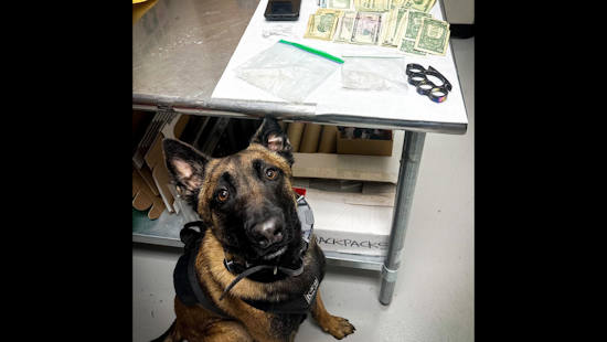 Tracy Man Arrested in Livermore on Meth Possession, Brass Knuckles Charges During Probation Check