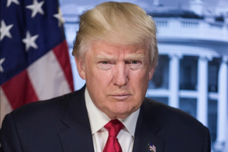 Trump Granted Appeal Opportunity Over Fulton DA's Role in Georgia Election Case