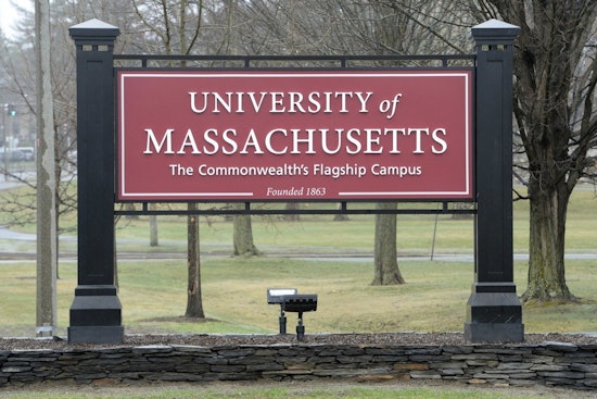UMass Amherst Study Unveils Primate Brain Secrets, Poised to Enhance Alzheimer's Research