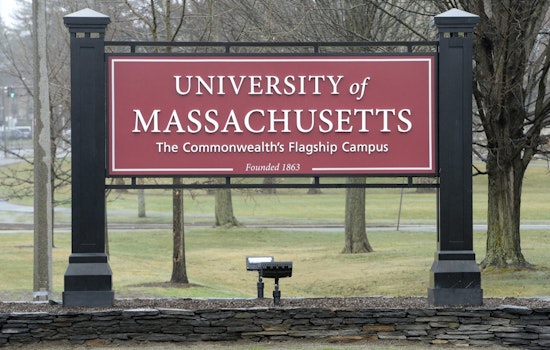 UMass Amherst Study Unveils Primate Brain Secrets, Poised to Enhance Alzheimer's Research