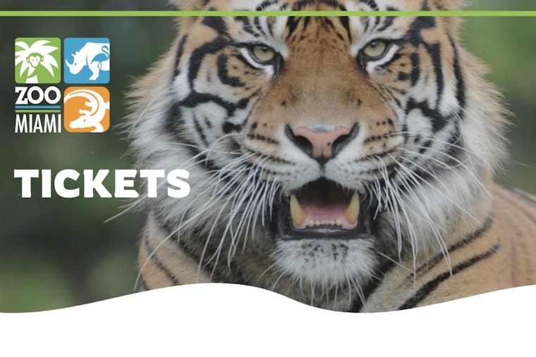 Under the Starry Sky, Sumatran Tiger Cub Lani Charms Nighttime Fundraiser at Zoo Miami