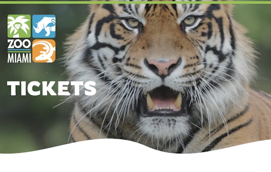 Under the Starry Sky, Sumatran Tiger Cub Lani Charms Nighttime Fundraiser at Zoo Miami