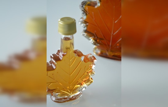University of Minnesota Extension to Host Maple Syrup Workshop in Waverly on April 13, 2024