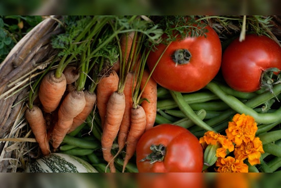 Urban Agriculture Blossoms as 26 Public Gardens Receive $445,600 for Community Food Security Initiatives