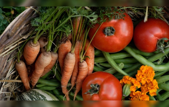 Urban Agriculture Blossoms as 26 Public Gardens Receive $445,600 for Community Food Security Initiatives
