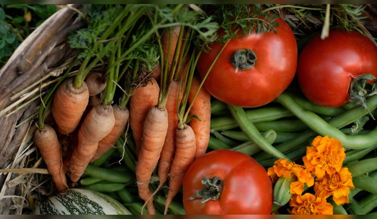 Urban Agriculture Blossoms as 26 Public Gardens Receive $445,600 for Community Food Security Initiatives