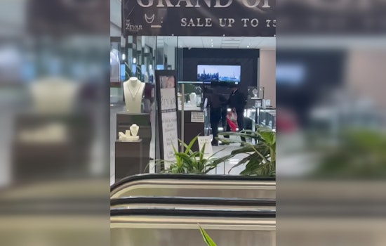 VIDEO: Authorities on Alert After Smash-and-Grab Robbery at Harlem Irving Plaza's Zevar Jewelers