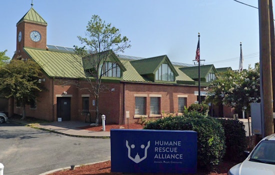 Volunteers Accuse Humane Rescue Alliance of Retaliation Amid Criticism of D.C. Animal Care Practices