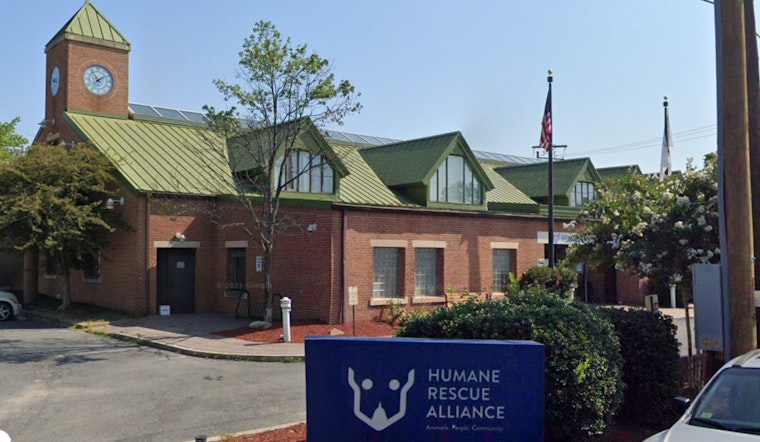Volunteers Accuse Humane Rescue Alliance of Retaliation Amid Criticism of D.C. Animal Care Practices