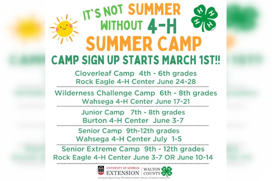 Walton County 4-H Summer Camp Registration Opens, Welcoming Kids to Outdoor Adventures