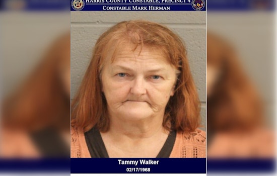 Wanted Thief Apprehended in Texas During Traffic Stop, Faces Felony Charge