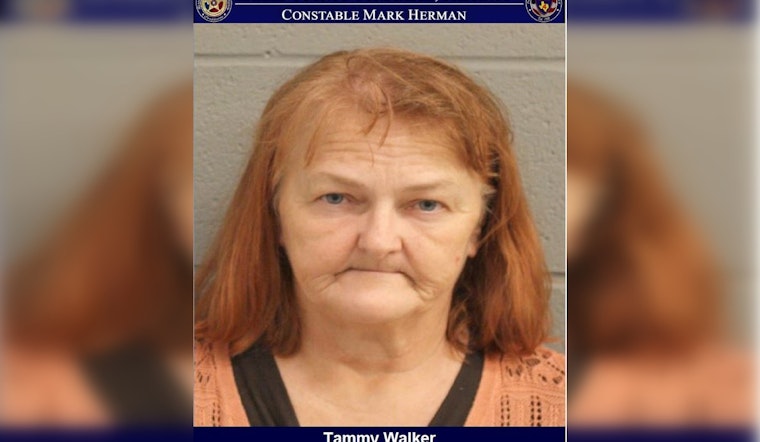 Wanted Thief Apprehended in Texas During Traffic Stop, Faces Felony Charge