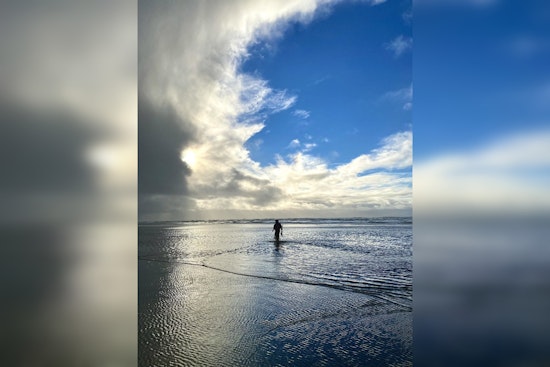 Washington Coast Set for Six-Day Razor Clam Dig Starting March 26, Wariness Urged