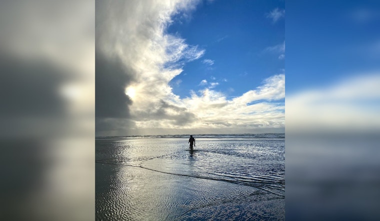 Washington Coast Set for Six-Day Razor Clam Dig Starting March 26, Wariness Urged