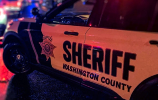 Washington County Sheriff Conducts Traffic Safety Operation Over St. Paddy's Weekend