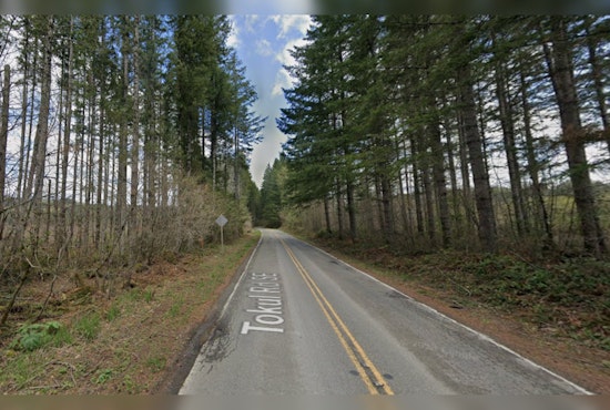 Washington Cyclist Survives Cougar Attack Thanks to Friends' Heroic Rescue Near Snoqualmie