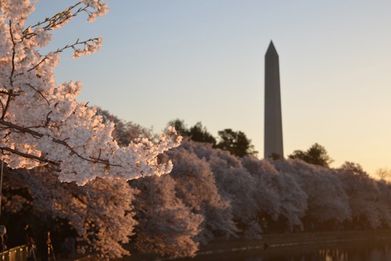 Washington D.C. Greeted by Fair Spring Weather with Sunny Days Ahead, Says NWS