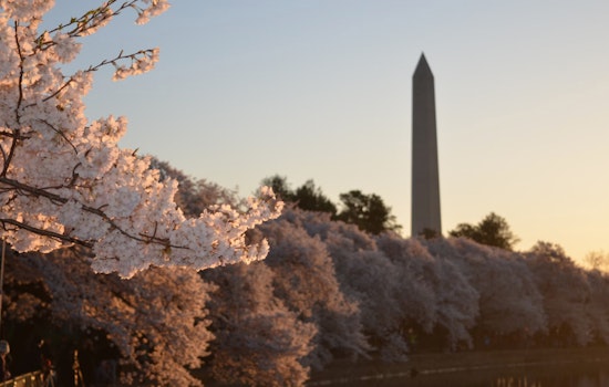 Washington D.C. Greeted by Fair Spring Weather with Sunny Days Ahead, Says NWS