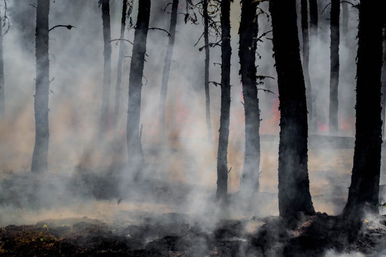 Washington State DNR Readies for Wildfire Season with Mock Fire Drills in Capitol State Forest