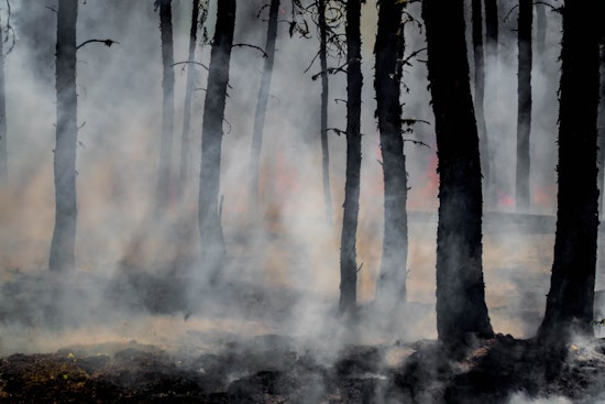 Washington State DNR Readies for Wildfire Season with Mock Fire Drills in Capitol State Forest