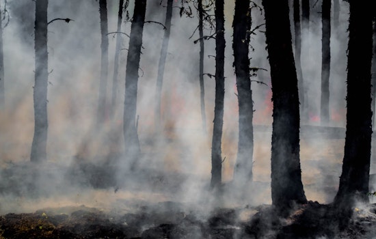 Washington State DNR Readies for Wildfire Season with Mock Fire Drills in Capitol State Forest
