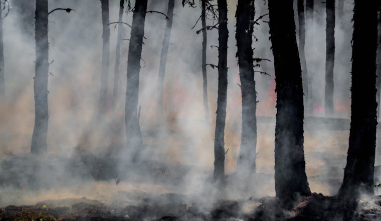 Washington State DNR Readies for Wildfire Season with Mock Fire Drills in Capitol State Forest