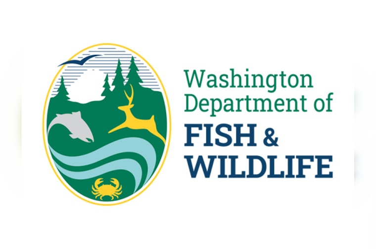WDFW Fined $30,800, Issued Safety Violation Corrections After Wind River Snorkel Incident