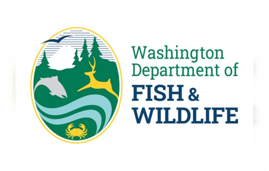 WDFW Fined $30,800, Issued Safety Violation Corrections After Wind River Snorkel Incident