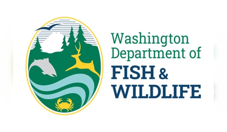 WDFW Fined $30,800, Issued Safety Violation Corrections After Wind River Snorkel Incident