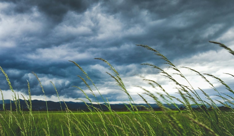 Wet and Windy Weather in Store for Knoxville, NWS Advises Caution for Possible Frost
