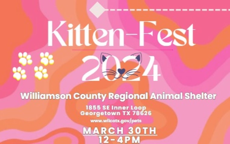 Williamson County Launches Kitten-Fest to Support Feline Adoption and Animal Welfare in Georgetown