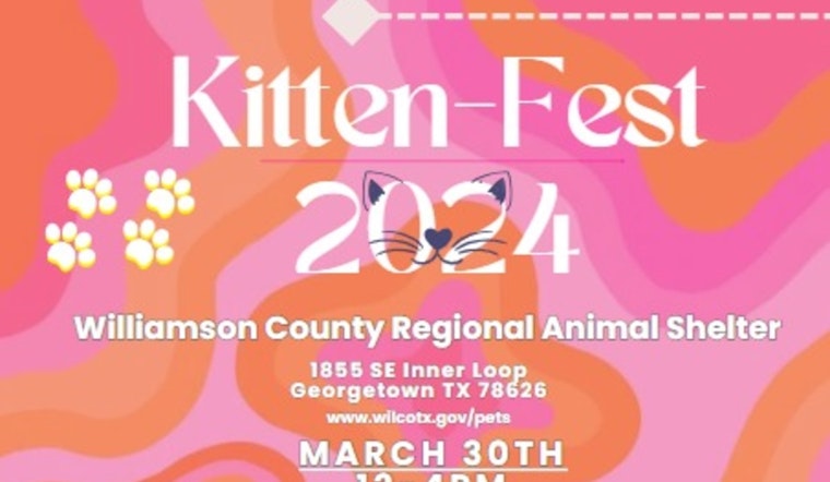 Williamson County Launches Kitten-Fest to Support Feline Adoption and Animal Welfare in Georgetown