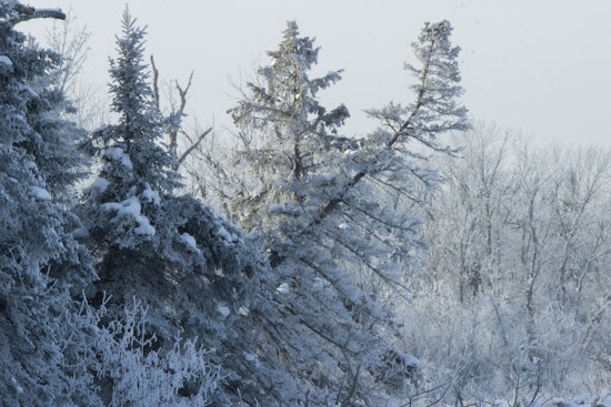 Winter Weather Advisory Issued for Minneapolis, Chilling Forecast with Up to 4 Inches of Snow Amid Travel Woes