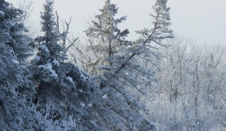 Winter Weather Advisory Issued for Minneapolis, Chilling Forecast with Up to 4 Inches of Snow Amid Travel Woes